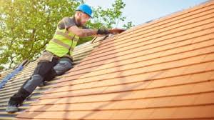Best Roof Ventilation Installation  in Vla Grove, IL