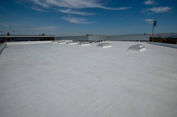 Best Gutter Installation and Repair  in Vla Grove, IL