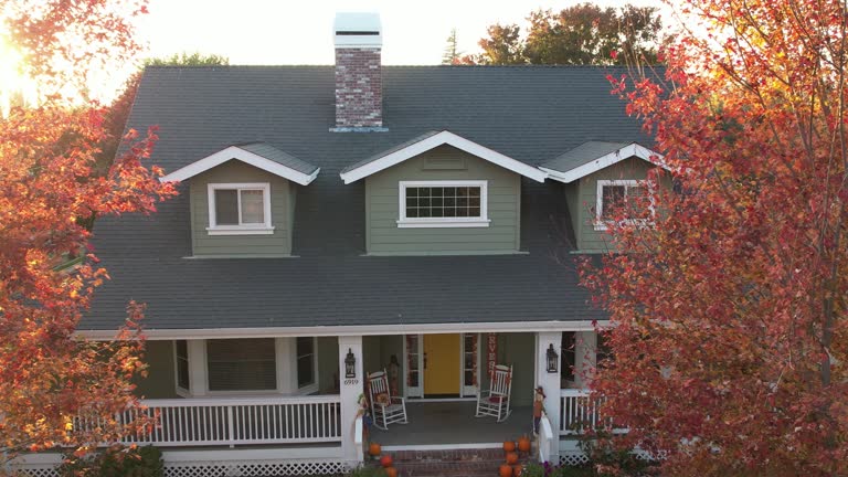 Best Rubber Roofing (EPDM, TPO)  in Vla Grove, IL
